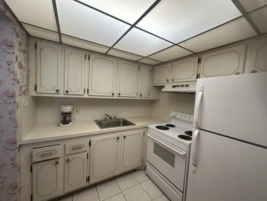 AS-IS!!!! Handyman special in the desirable 55+ community of - photo 3