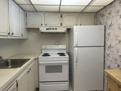 AS-IS!!!! Handyman special in the desirable 55+ community of - photo 10