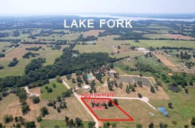 1.64 Acres in the Heart of the Lake Fork area in Yantis Tx - photo 2