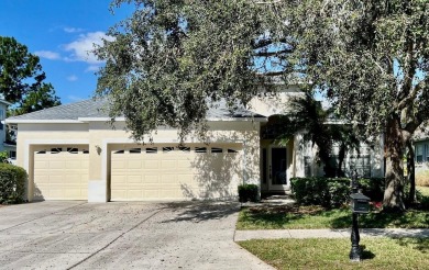 (private lake, pond, creek) Home Sale Pending in Land O Lakes Florida