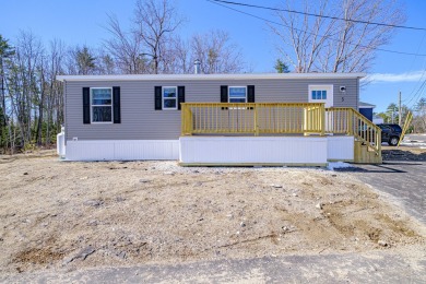 Lake Home For Sale in Limington, Maine