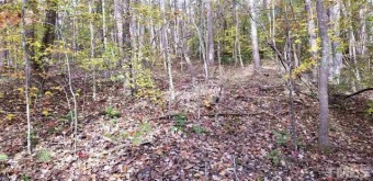 5 Woodridge Road - Lake Lot For Sale in Roxboro, North Carolina