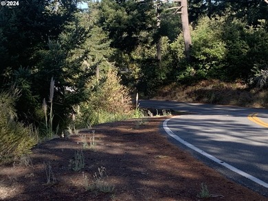 Here is a blank, 11 acre canvas for your dream home with - photo 11