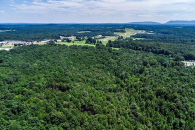 Possible mixed-use zoning allows for both commercial & - photo 11