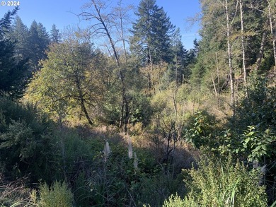 Here is a blank, 11 acre canvas for your dream home with - photo 14