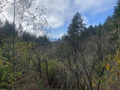 Here is a blank, 11 acre canvas for your dream home with - photo 18