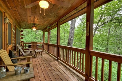 Lake Blue Ridge Home Active Under Contract in Blue Ridge Georgia