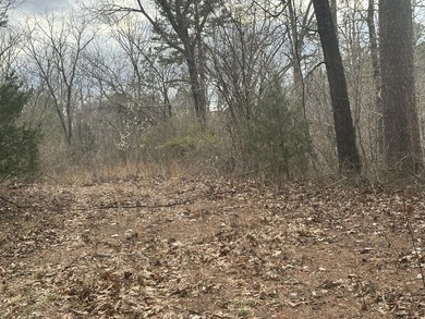Current River Lot For Sale in Van Buren Missouri