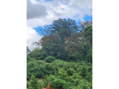 Toccoa River - Fannin County Lot For Sale in Mccaysville Georgia