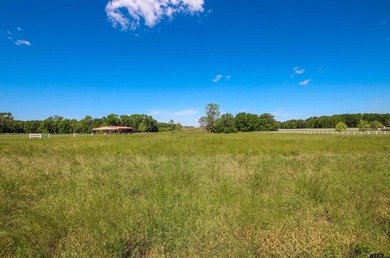 Marsh Lake  Acreage For Sale in Lindale Texas