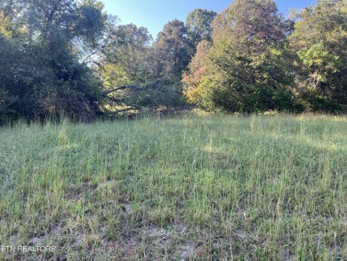 Chickamauga Lake Lot For Sale in Decatur Tennessee