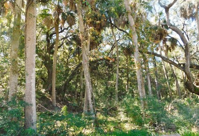The Best Lot available on Edisto Beach with direct beach access - photo 11