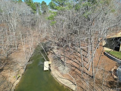 Spacious Waterfront Lot on Lake Gaston - Build Your Dream - photo 14
