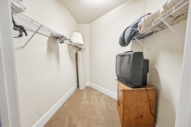 This One Owner Unit has been upgraded with new LV flooring all - photo 18