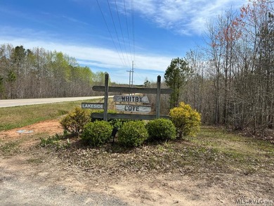 Spacious Waterfront Lot on Lake Gaston - Build Your Dream - photo 19