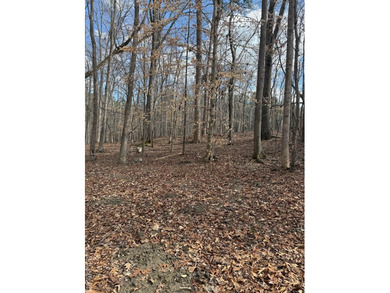 Spacious Waterfront Lot on Lake Gaston - Build Your Dream - photo 22