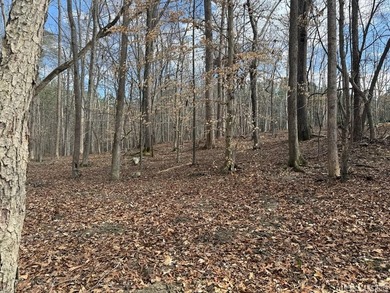 Spacious Waterfront Lot on Lake Gaston - Build Your Dream - photo 23