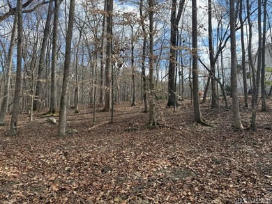 Spacious Waterfront Lot on Lake Gaston - Build Your Dream - photo 24