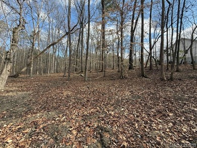 Spacious Waterfront Lot on Lake Gaston - Build Your Dream - photo 25