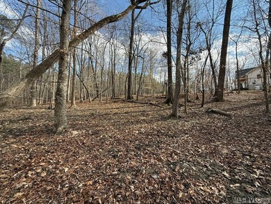 Spacious Waterfront Lot on Lake Gaston - Build Your Dream - photo 26