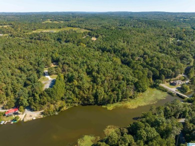 Lake Acreage For Sale in Oneonta, Alabama