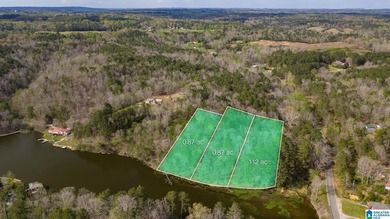 Looking for lakefront property? Here you go! 300' of lakefront - photo 2