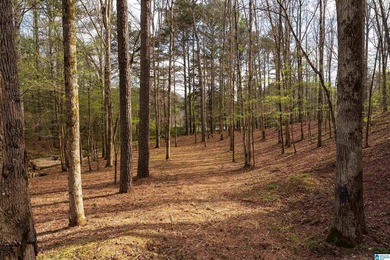 Looking for lakefront property? Here you go! 300' of lakefront - photo 3