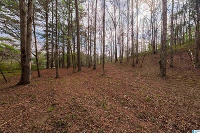 Looking for lakefront property? Here you go! 300' of lakefront - photo 4