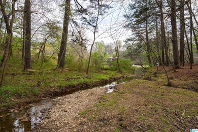 Looking for lakefront property? Here you go! 300' of lakefront - photo 5