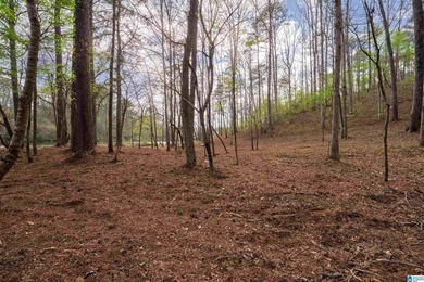 Looking for lakefront property? Here you go! 300' of lakefront - photo 6