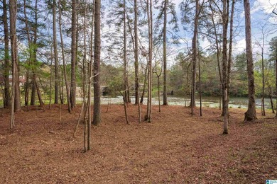 Looking for lakefront property? Here you go! 300' of lakefront - photo 7