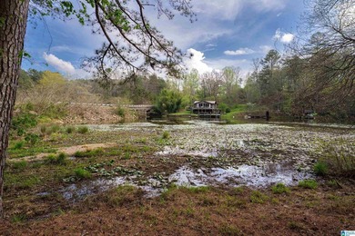 Looking for lakefront property? Here you go! 300' of lakefront - photo 8
