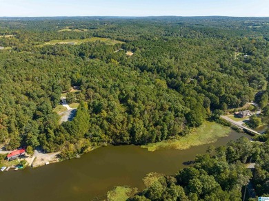 Looking for lakefront property? Here you go! 300' of lakefront - photo 9