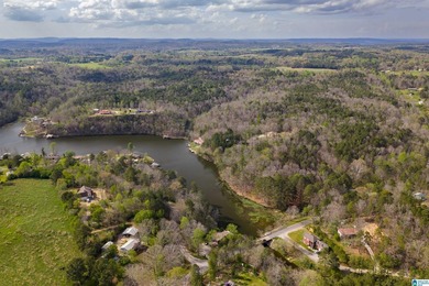 Looking for lakefront property? Here you go! 300' of lakefront - photo 10