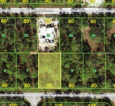 Port Charlotte Waterway Area Lot For Sale in Port Charlotte Florida