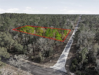 Bonable Lake Lot For Sale in Dunnellon Florida
