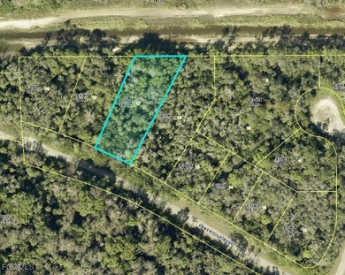 Lehigh Acres Area Lot Sale Pending in Lehigh Acres Florida