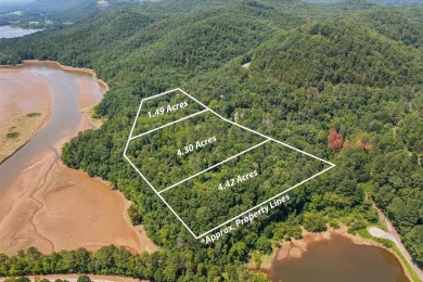 Lake Acreage For Sale in Chatsworth, Georgia
