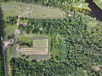 Welcome to Tranquil Acres, a truly one-of-a-kind Northwoods - photo 2