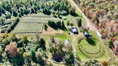 Welcome to Tranquil Acres, a truly one-of-a-kind Northwoods - photo 3