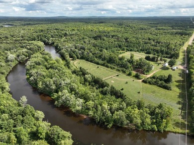 Welcome to Tranquil Acres, a truly one-of-a-kind Northwoods - photo 8