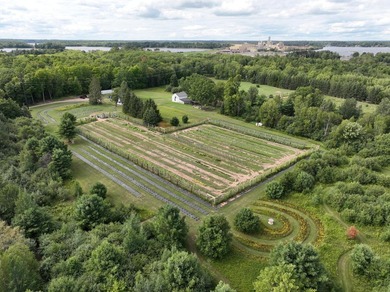 Welcome to Tranquil Acres, a truly one-of-a-kind Northwoods - photo 9