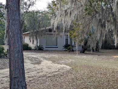 Lake Kerr Home For Sale in Salt Springs Florida