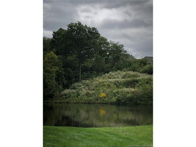 A Beautiful Lakefront lot reedy to build your dream home on! - photo 12