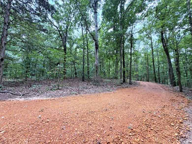 Escape to the beauty of nature with this nearly 14-acre tract of - photo 2