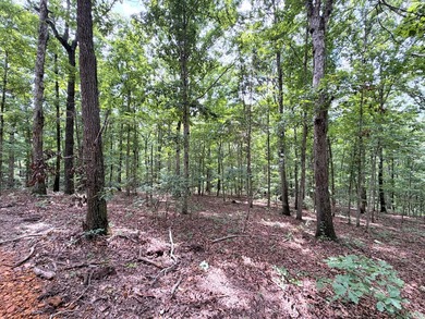 Escape to the beauty of nature with this nearly 14-acre tract of - photo 3