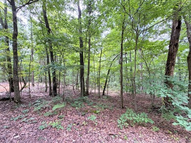 Escape to the beauty of nature with this nearly 14-acre tract of - photo 5