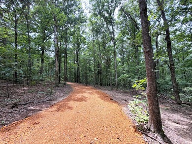 Escape to the beauty of nature with this nearly 14-acre tract of - photo 8