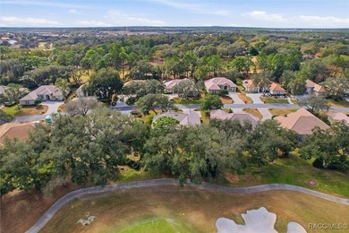 Beautifully maintained and tastefully decorated Black Diamond - photo 41
