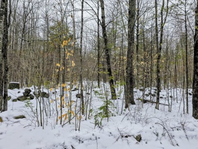 Lake Acreage For Sale in Lovell, Maine